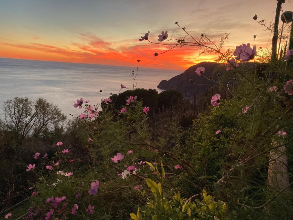 Villa Pietrafiore Μοντερόσο αλ Μάρε Εξωτερικό φωτογραφία