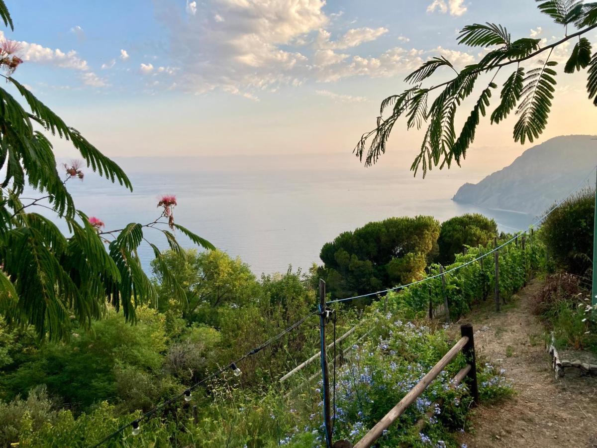 Villa Pietrafiore Μοντερόσο αλ Μάρε Εξωτερικό φωτογραφία