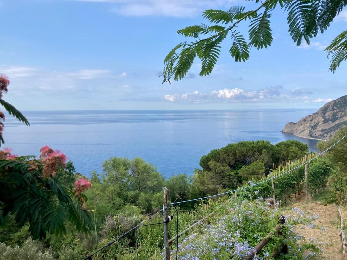 Villa Pietrafiore Μοντερόσο αλ Μάρε Εξωτερικό φωτογραφία