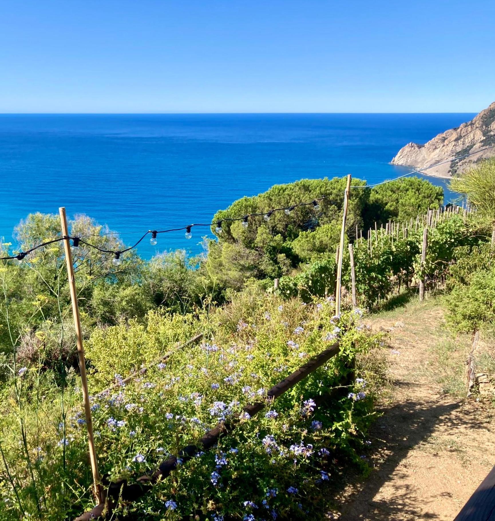 Villa Pietrafiore Μοντερόσο αλ Μάρε Εξωτερικό φωτογραφία