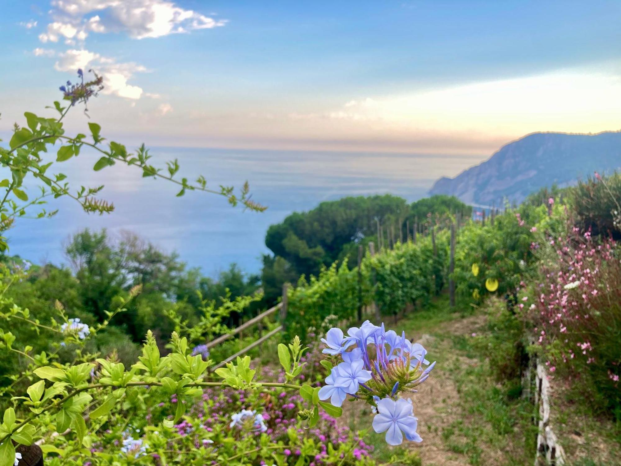 Villa Pietrafiore Μοντερόσο αλ Μάρε Εξωτερικό φωτογραφία