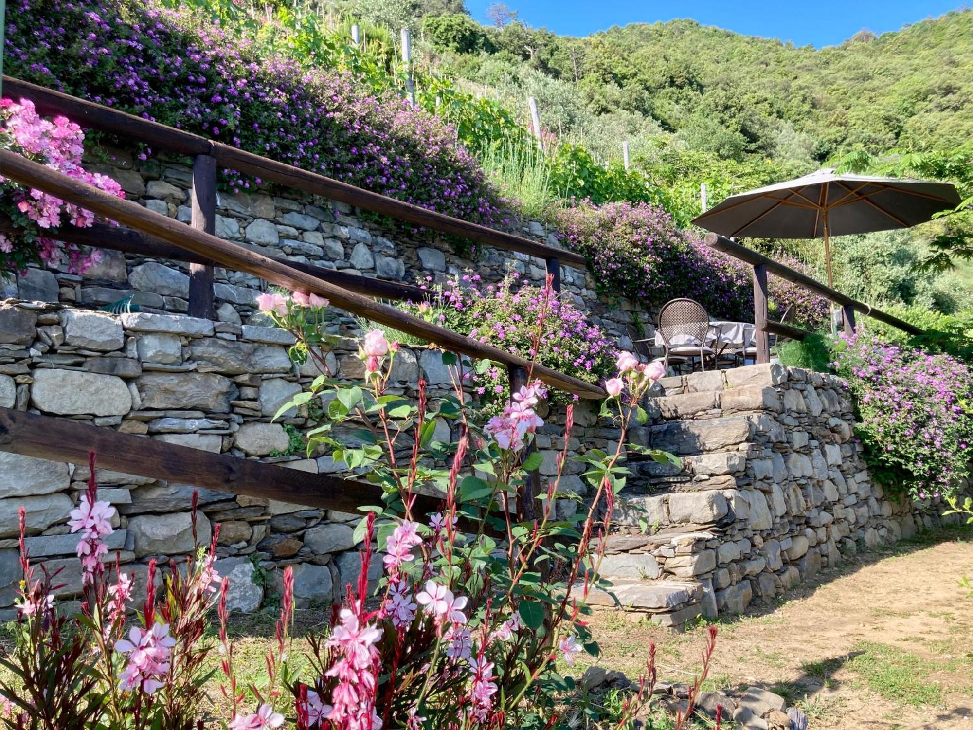 Villa Pietrafiore Μοντερόσο αλ Μάρε Εξωτερικό φωτογραφία