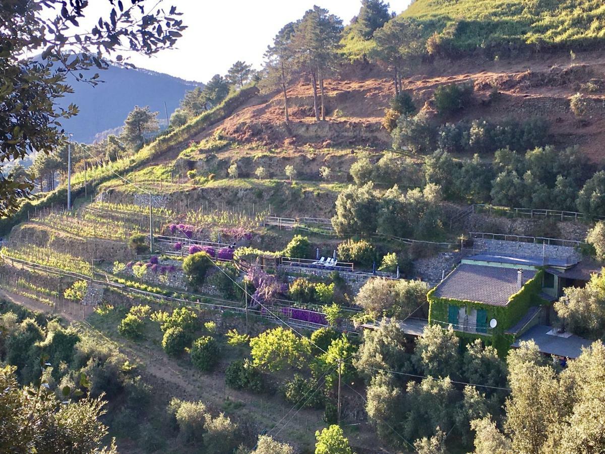 Villa Pietrafiore Μοντερόσο αλ Μάρε Εξωτερικό φωτογραφία